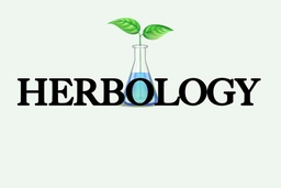 Herbology South Modesto Dispensary