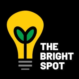 The bright spot