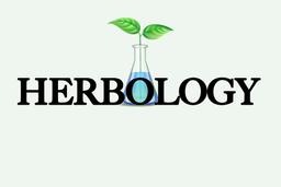 Herbology South Modesto Dispensary