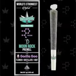 Presidential Moon Rock Preroll - Gorilla Goo (1g)