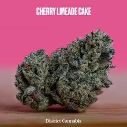 Cherry Limeade Cake Flower 3.5g