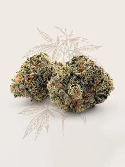 Apple Fritter (3.5g)