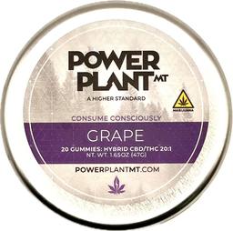 POWER PLANT MT Grape Gummies 20:1 | 20pk