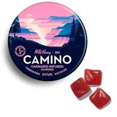 Camino Wild Berry - 100mg