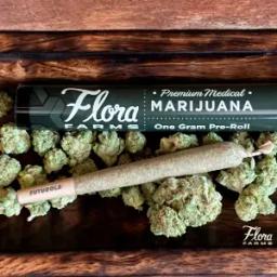 Pre-Roll 1g | Flora Farms Alien OG