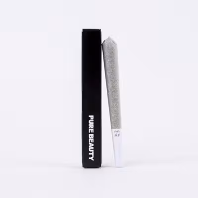Bermuda Triangle | Single (1g) Pre-Roll | 100% Indoor Flower Bermuda Triangle | Single (1g) Pre-Roll | 100% Indoor Flower