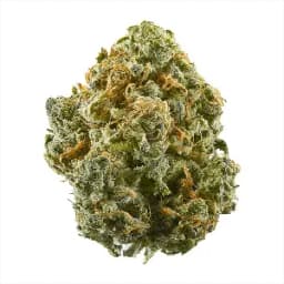 Blue Dream Blue Dream