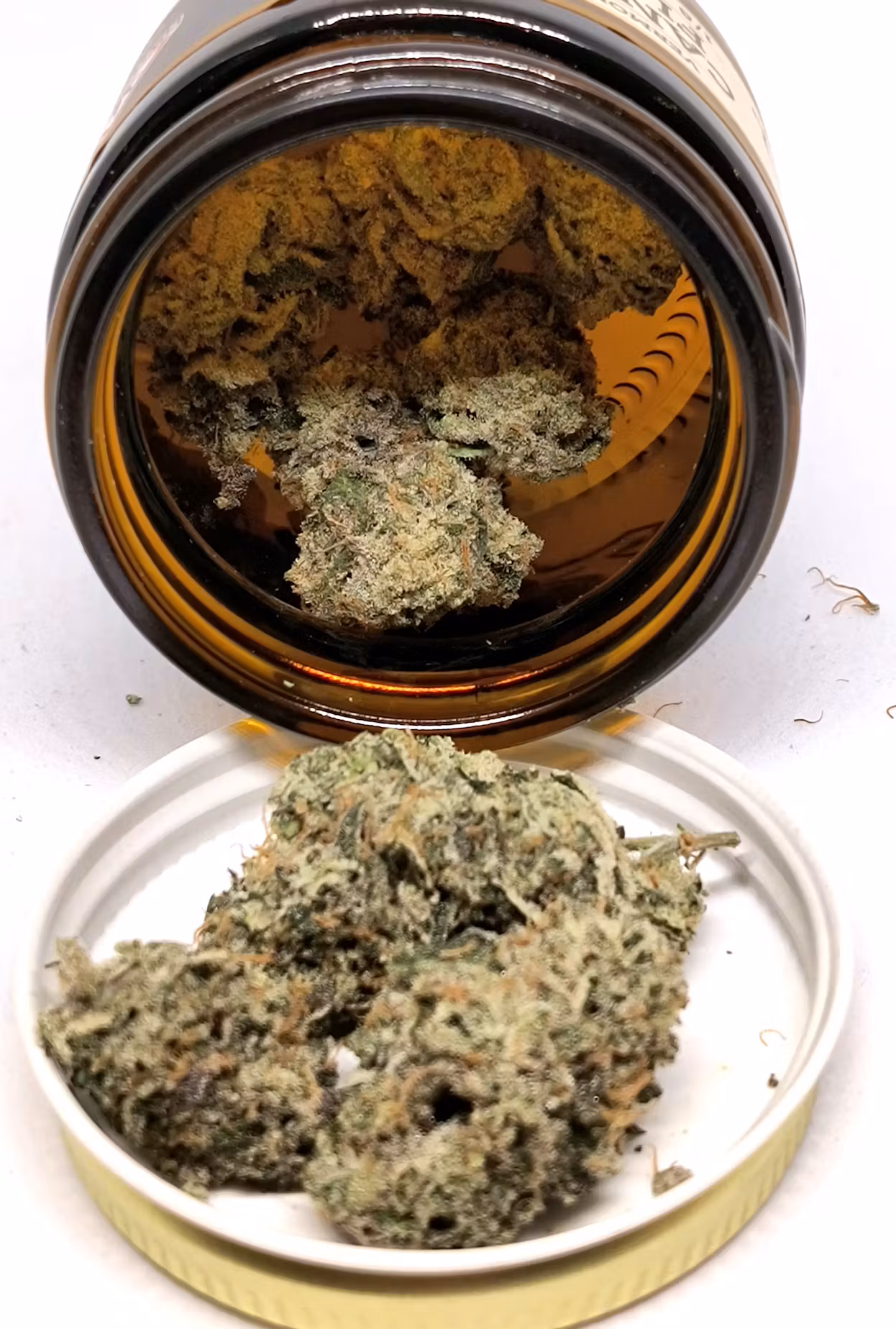 CLOVIS High Brow Jar | Clovis CLOVIS High Brow Jar | Clovis