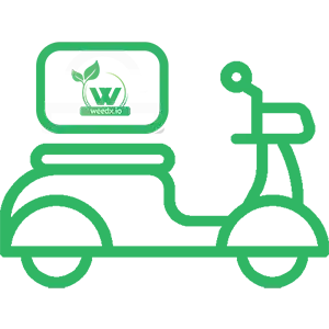 Delivery Services Delivery Services