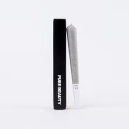 Bermuda Triangle | Single (1g) Pre-Roll | 100% Indoor Flower Bermuda Triangle | Single (1g) Pre-Roll | 100% Indoor Flower