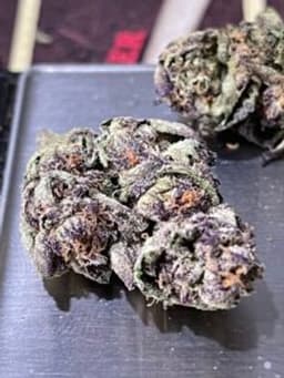 ICE CREAM RUNTZ 28gOZ ON SALE $100 INDICA ICE CREAM RUNTZ 28gOZ ON SALE $100 INDICA