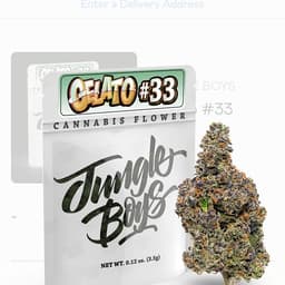Gellato 33 (Jungle Boys ) Hybrid Gellato 33 (Jungle Boys ) Hybrid