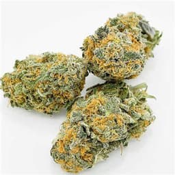 Garlic Cookies OG Garlic Cookies OG