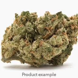 Avitas: Flower - Florida Kush Avitas: Flower - Florida Kush