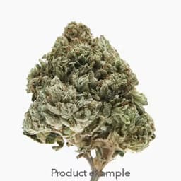 Avitas: Flower - Kimbo Kush Avitas: Flower - Kimbo Kush